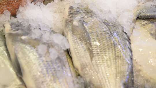 海鲜食材海产品渔获5