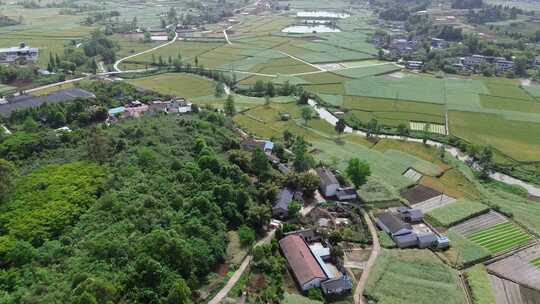 川西平原罗江乡村田地沃土