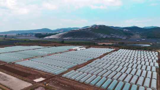 航拍农业大棚基地
