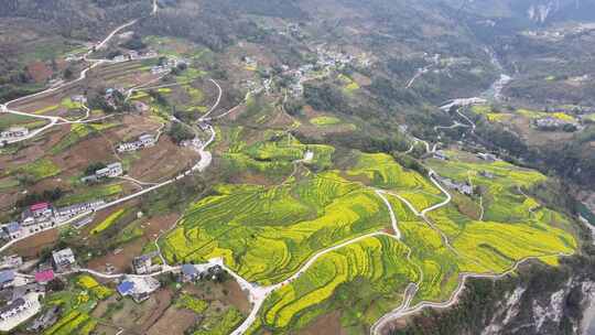 湖北恩施5A景区大峡谷绝壁花海航拍