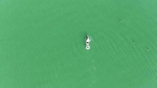 俯拍一个人在大海里游泳
