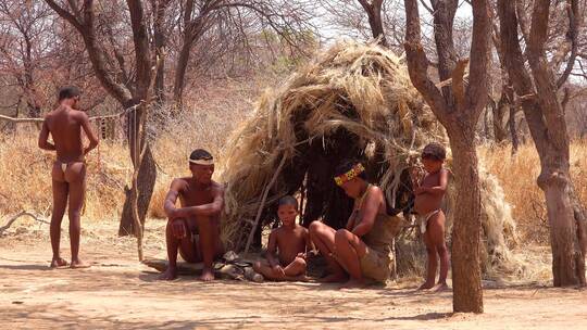 一个原始小村庄里的非洲圣部落布什曼家庭