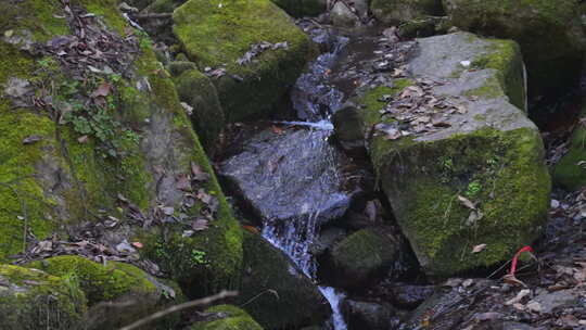 清澈的山涧溪水高速升格4K镜头