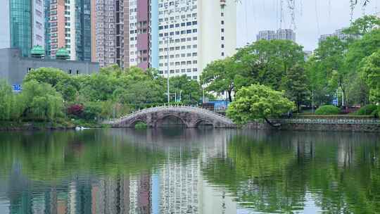 宁波月湖旅游景点水面涟漪与树木倒影