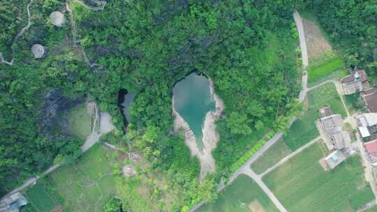 桃花水母天坑广西都安地下河洞穴潜水