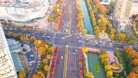 秋天城市道路秋色风景