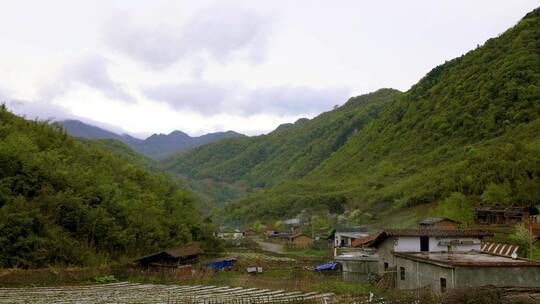 夏天乡下村庄绿水青山炊烟袅袅