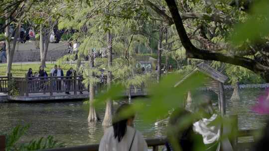 2023广州动物园游览风景