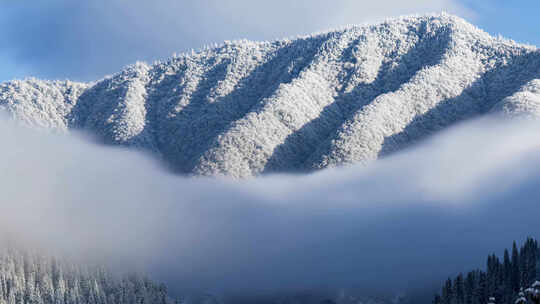 雪山雾凇云海壮丽风光