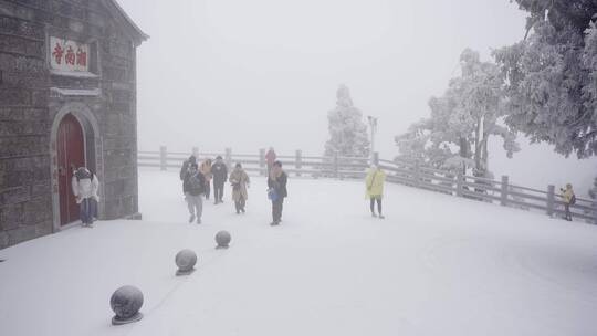 雾淞 雪景 看雪