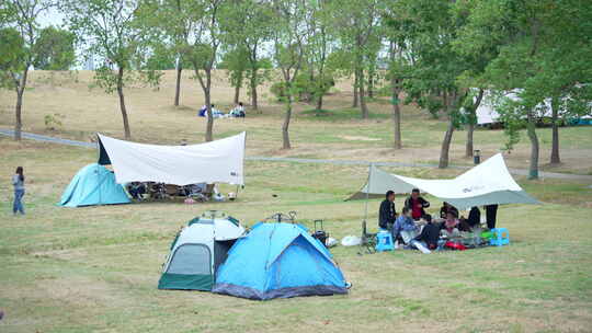 武汉江夏区黄家湖湿地公园