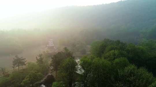 航拍杭州西湖太子湾公园早晨雾景视频