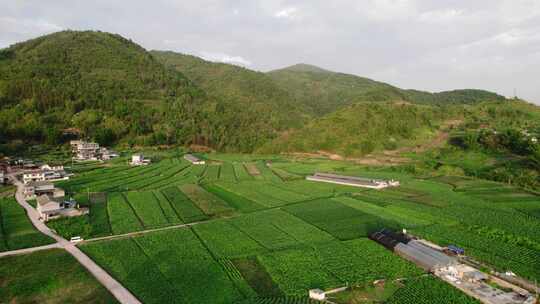 乡村振兴 美丽乡村