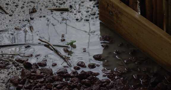 雨水缓缓落入布满石头的水坑