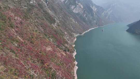 长江三峡巫峡红叶