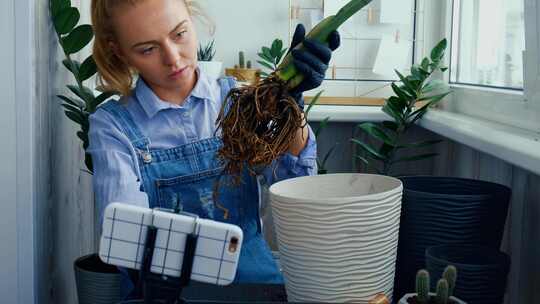 园丁女博主在移植室内植物和在桌子上使用铲