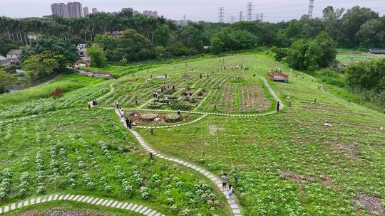 4K航拍深圳龙华版画基地5