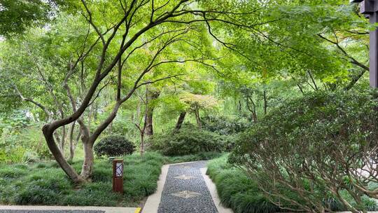 4k 园林自然风景