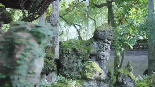 宁波天一阁花园假山