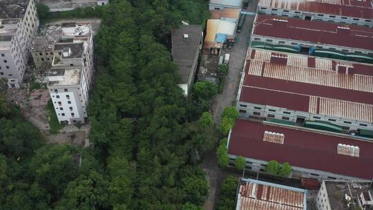 航拍深圳龙华区观澜城市生态环境