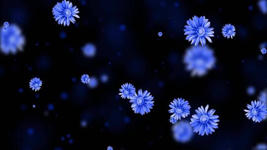 唯美蓝色菊花粒子背景视频视频素材模板下载
