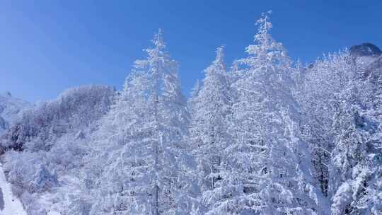 秦岭分水岭  冰雪世界