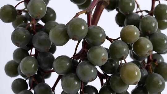 绿葡萄微距特写素材