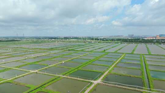 广州南沙湿地公园