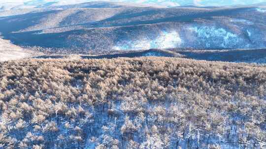 航拍大兴安岭林海雪原风光