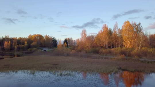 多莉变焦对树木反射的彩色秋季日落池塘上空低空拍摄的影响