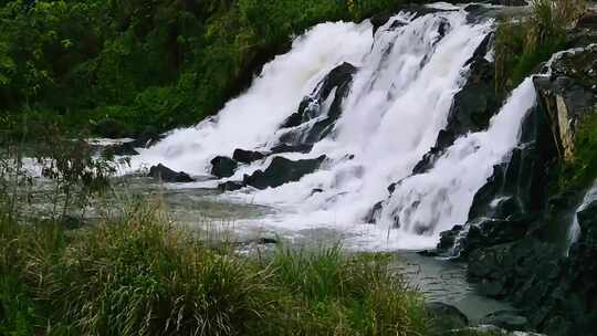 山间小溪水河流水阳光树林视频