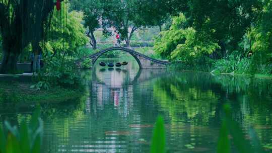 公园湖泊生态绿化风景