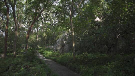 杭州凤凰山万松书院风景