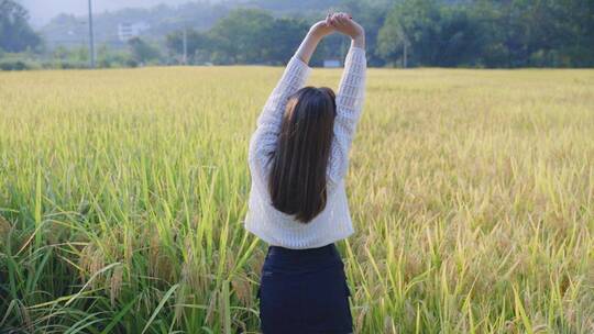 水稻农业大米秋天丰收美少女在稻谷田拍照