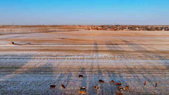 冬季吉林珲乌高速周边村屯冰雪覆盖
