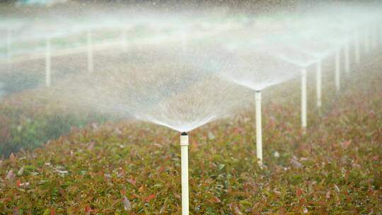 4K灌溉喷洒现代农业自动灌溉视频素材模板下载