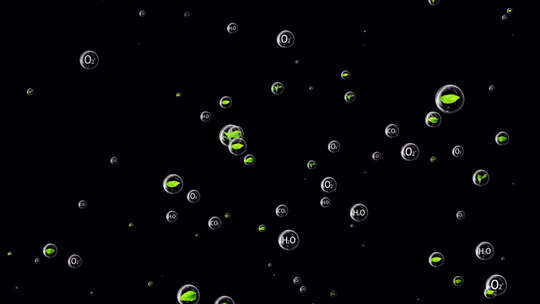 氧气泡泡空气带通道