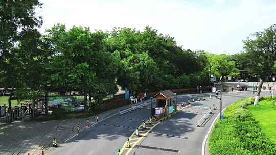 浙江杭州西湖区西溪湿地自然森林湖泊12