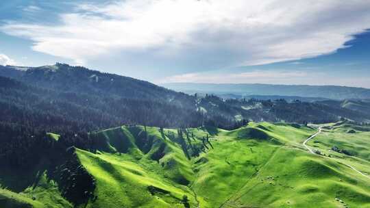 山林间的航拍全景