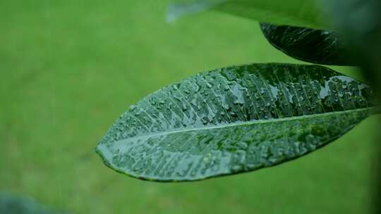 暴雨 雨天 下雨 情绪 雨滴