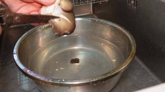 水槽清洗平菇沥干水分