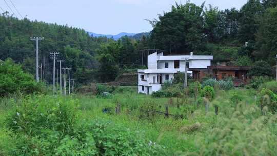 农村老房子山间小屋生态