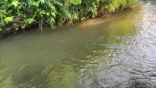 小溪河流河道