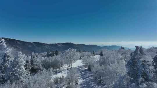 高山雾凇