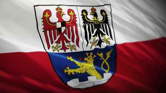 埃尔朗根旗帜挥舞-德国视频素材模板下载