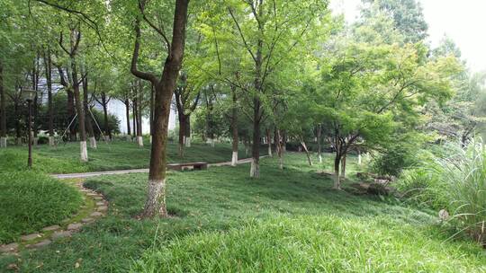 杭州江干区世纪花园公园视频