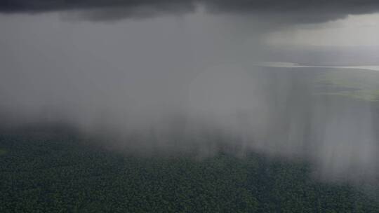 4K热带雨林风景