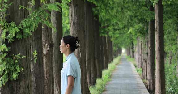 中国美女 红杉树 休闲休息 感知自然气息