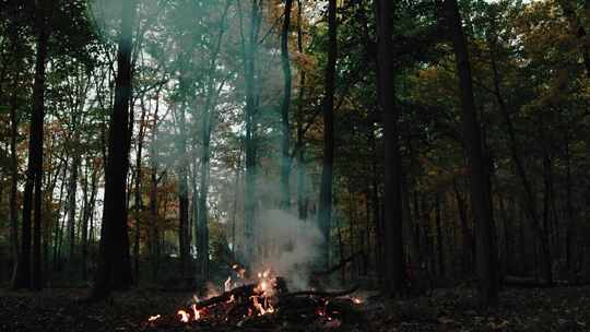 森林篝火