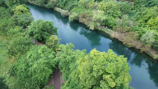 唯美清新自然绿色河流树木自然风光